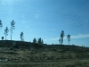 img_5033-small.jpg