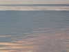 img_0694_71x41.jpg