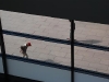 dsc_0100-small.jpg