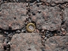 dsc_0118-small.jpg