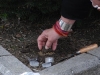 dsc_0221-small.jpg