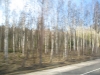 baltikum_img_3684.jpg