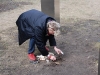 inge-erden-small.jpg