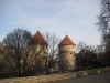 burgimg_0177.jpg