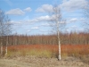 heide-small.jpg