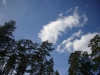 p1040096-small.jpg