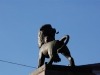 dsc_0116-small.jpg