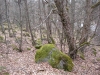 img_0268-small.jpg