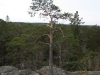 img_0288-small.jpg