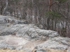 img_0290-small.jpg