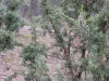img_0298-small.jpg