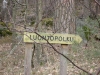 img_0299-small.jpg