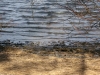 img_0335-small.jpg