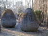 dsc_0401-small.jpg