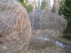 netzei_01img_3502.jpg