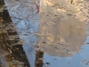 reflectionimg_0278.jpg