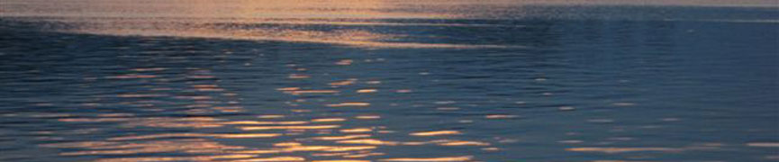 Random header image... Refresh for more!