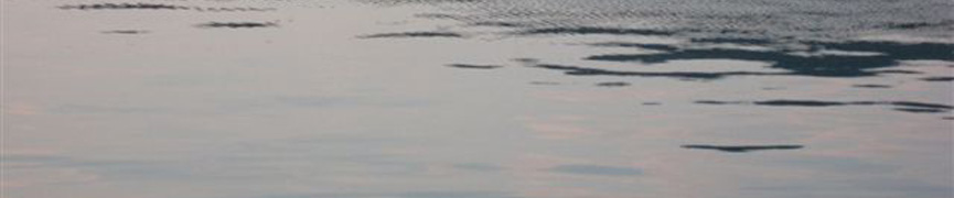 Random header image... Refresh for more!